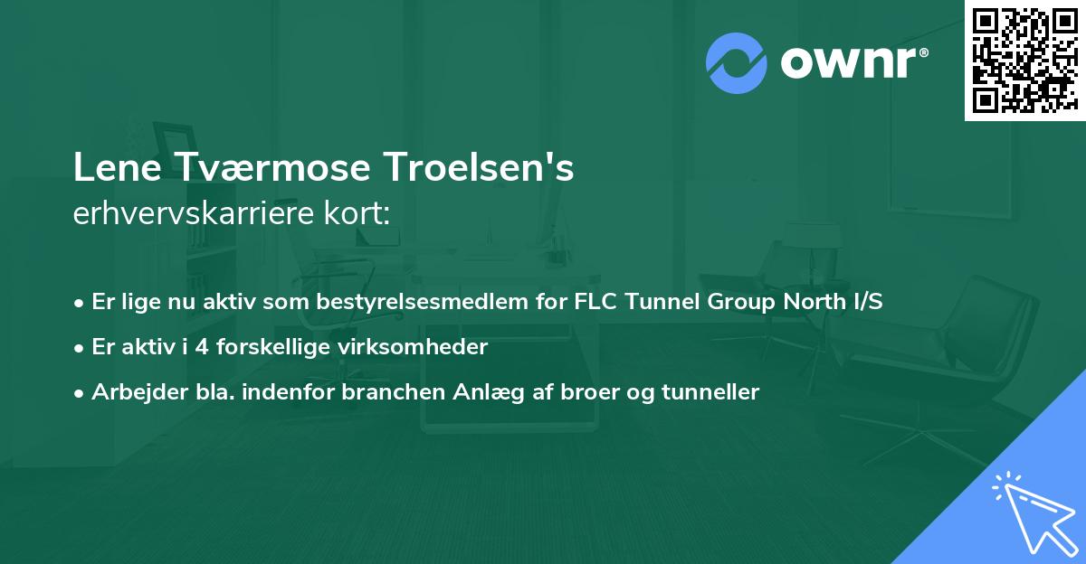 Lene Tværmose Troelsen's erhvervskarriere kort