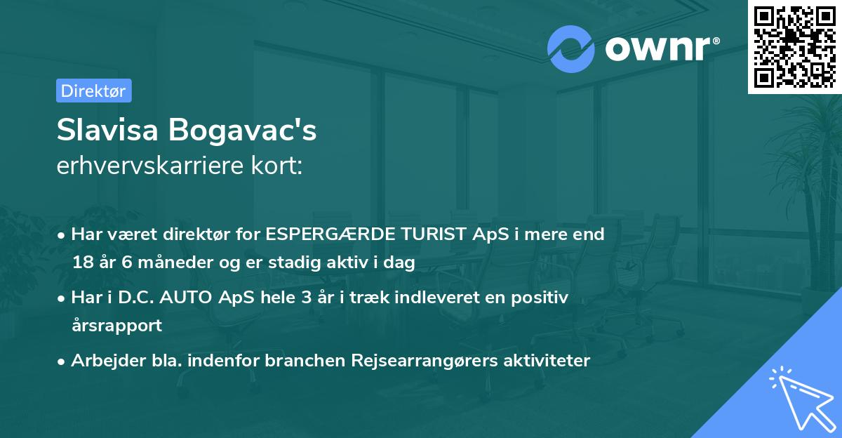 Slavisa Bogavac's erhvervskarriere kort