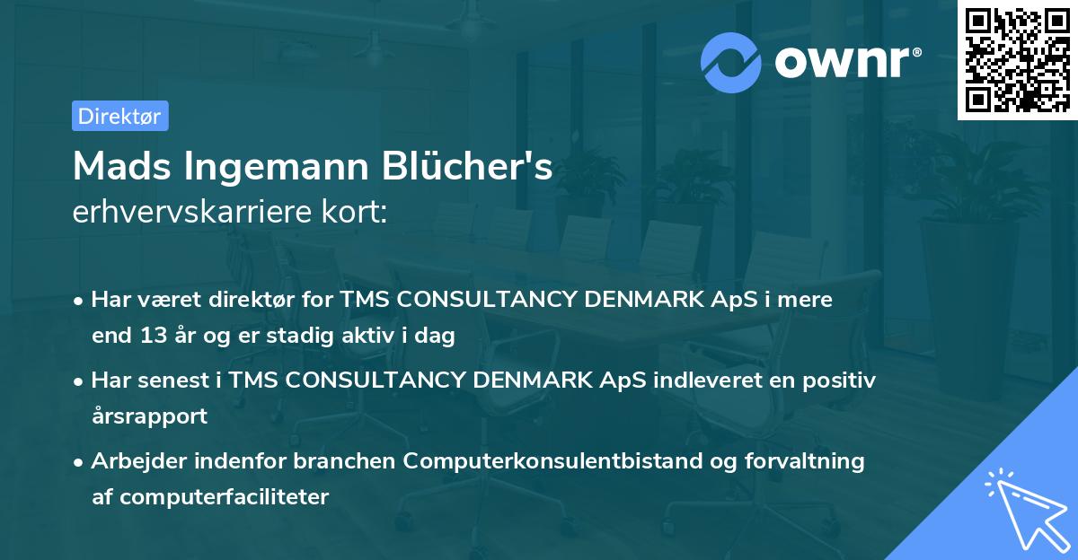 Mads Ingemann Blücher's erhvervskarriere kort