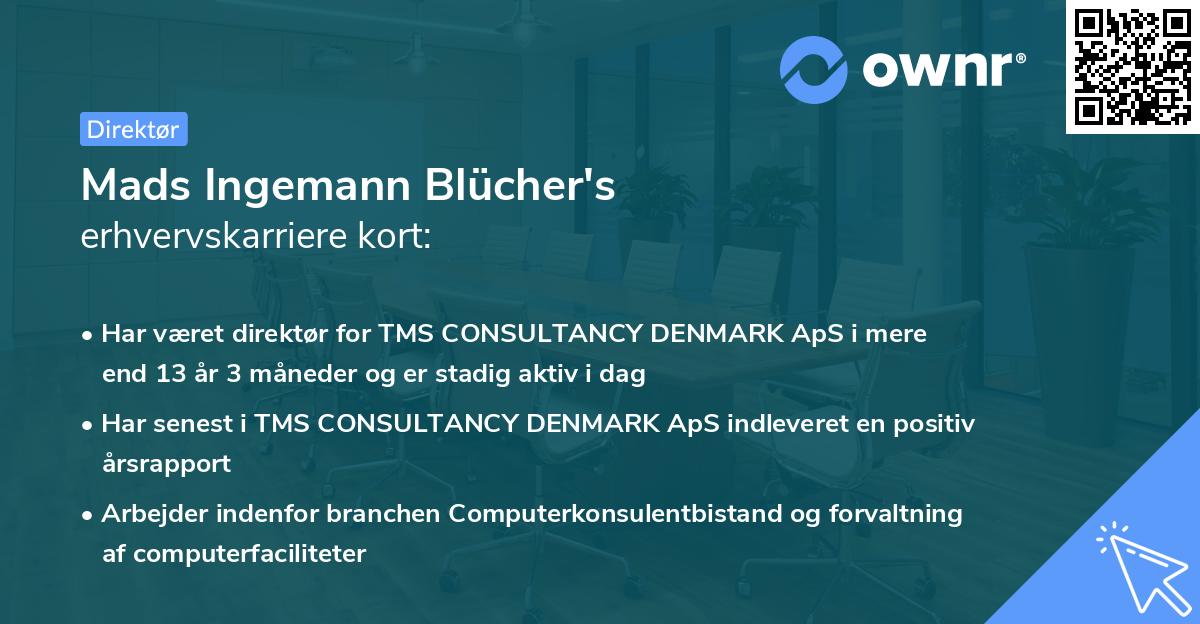Mads Ingemann Blücher's erhvervskarriere kort