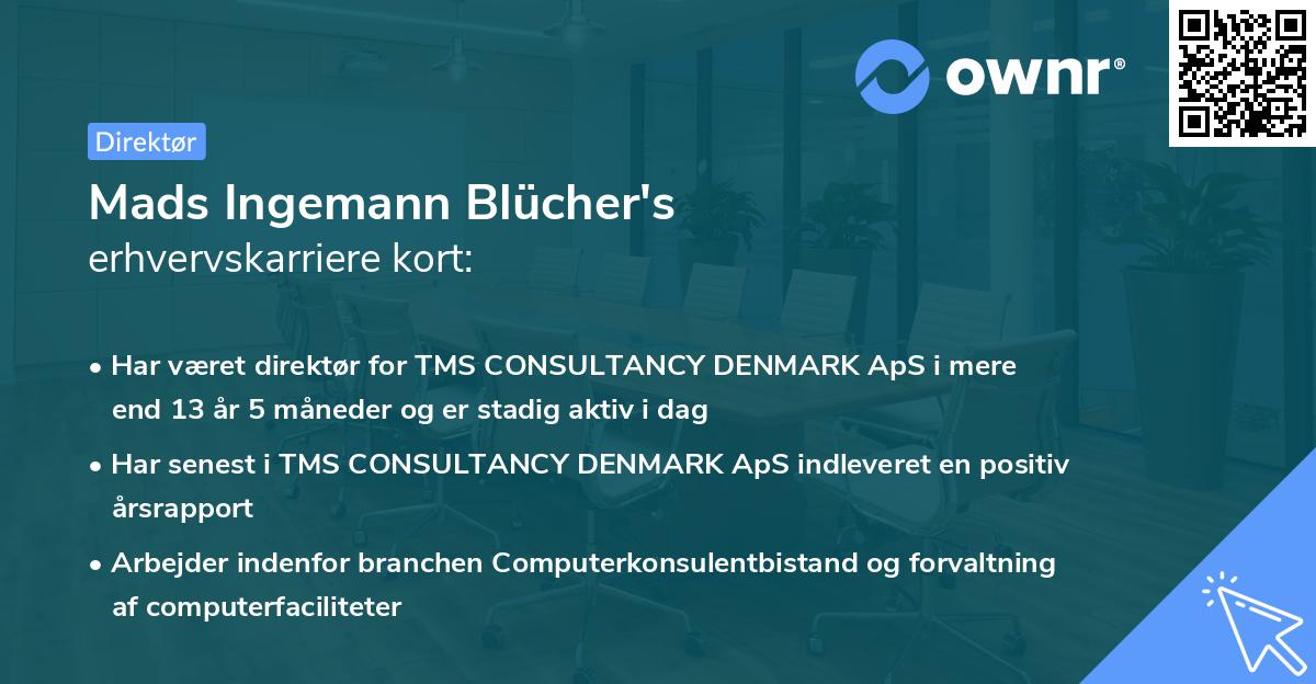 Mads Ingemann Blücher's erhvervskarriere kort