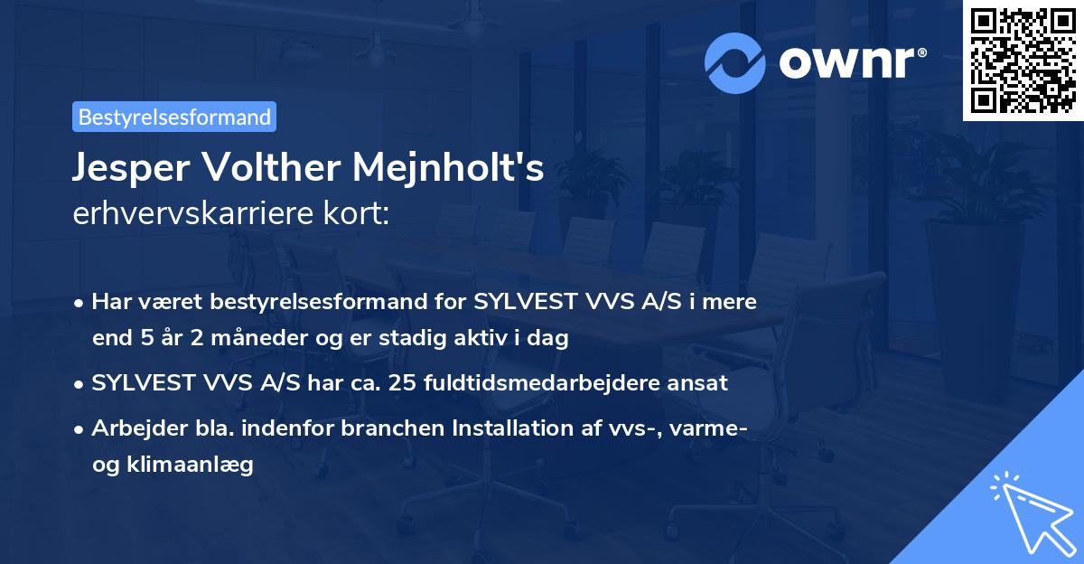 Jesper Volther Mejnholt's erhvervskarriere kort