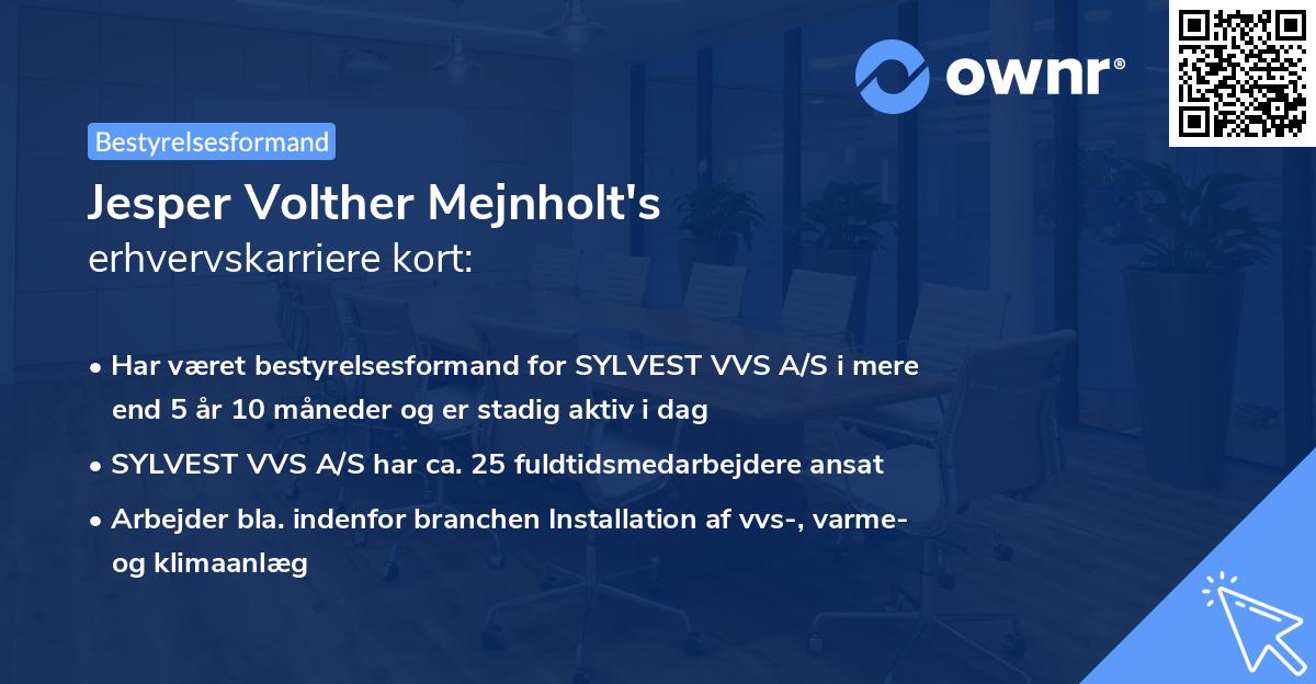 Jesper Volther Mejnholt's erhvervskarriere kort