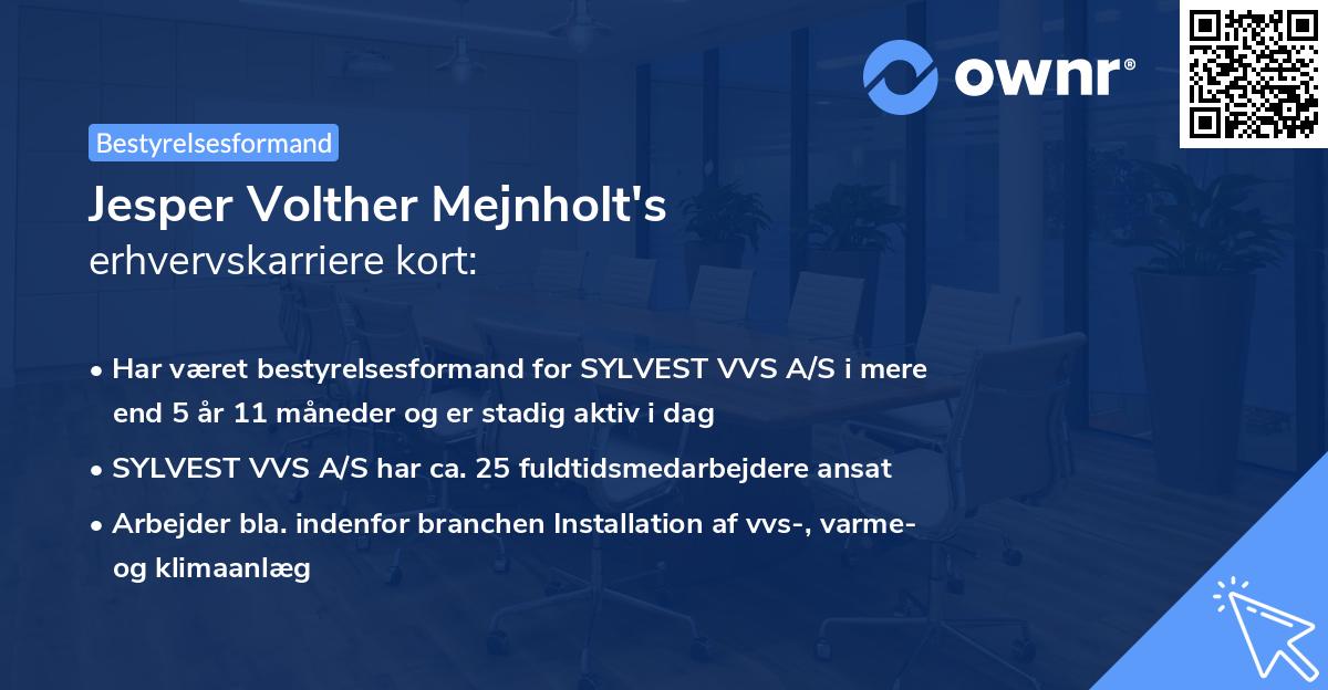 Jesper Volther Mejnholt's erhvervskarriere kort