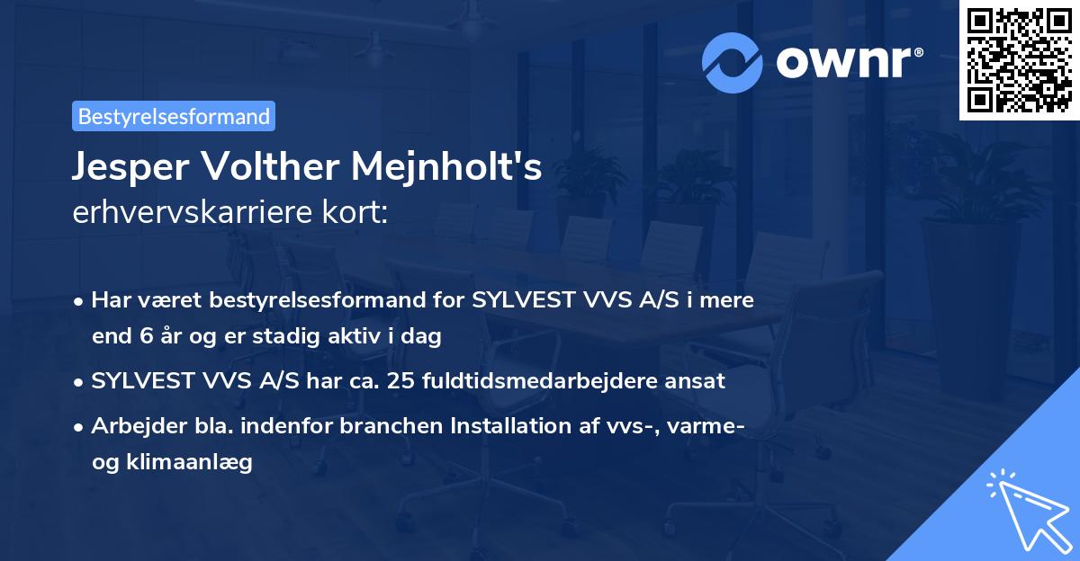 Jesper Volther Mejnholt's erhvervskarriere kort