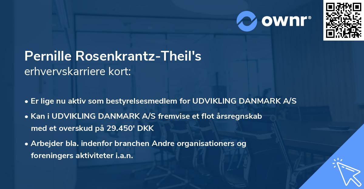 Pernille Rosenkrantz-Theil's erhvervskarriere kort