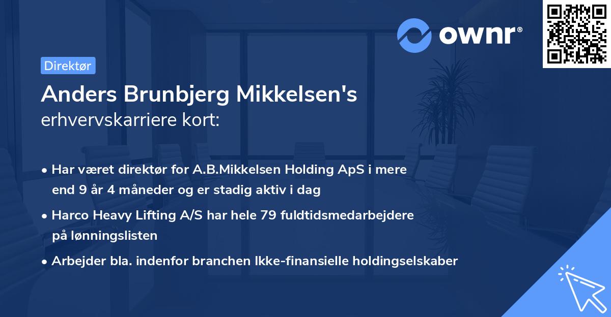 Anders Brunbjerg Mikkelsen's erhvervskarriere kort