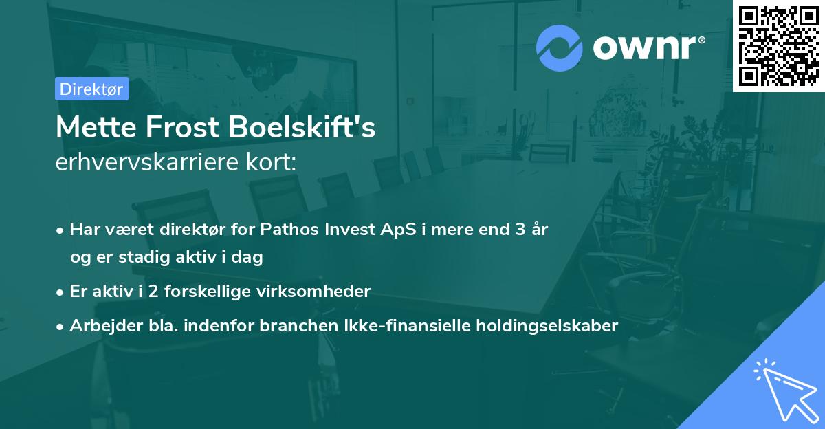 Mette Frost Boelskift's erhvervskarriere kort