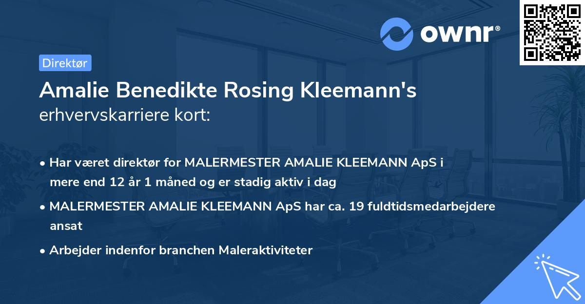 Amalie Benedikte Rosing Kleemann's erhvervskarriere kort