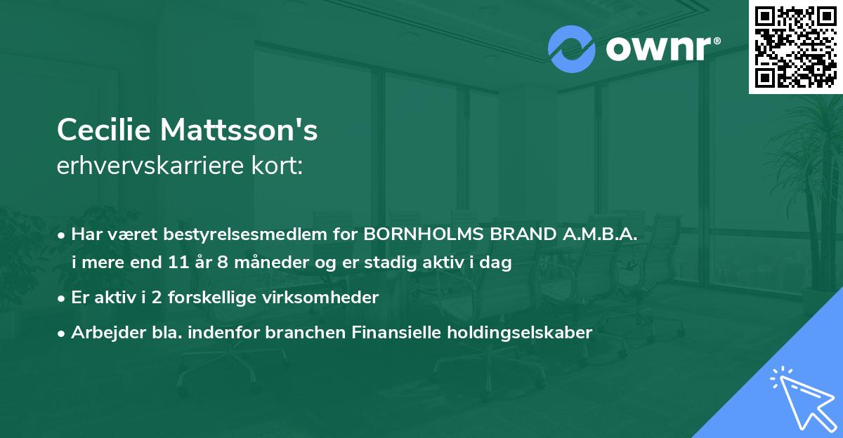 Cecilie Mattsson's erhvervskarriere kort