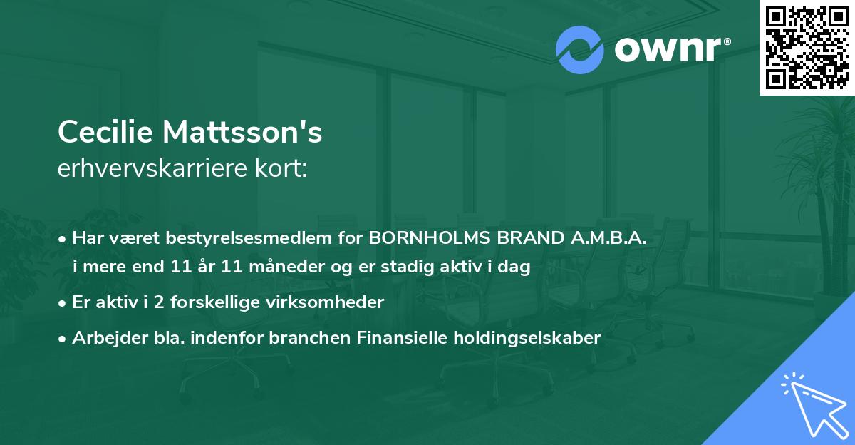Cecilie Mattsson's erhvervskarriere kort