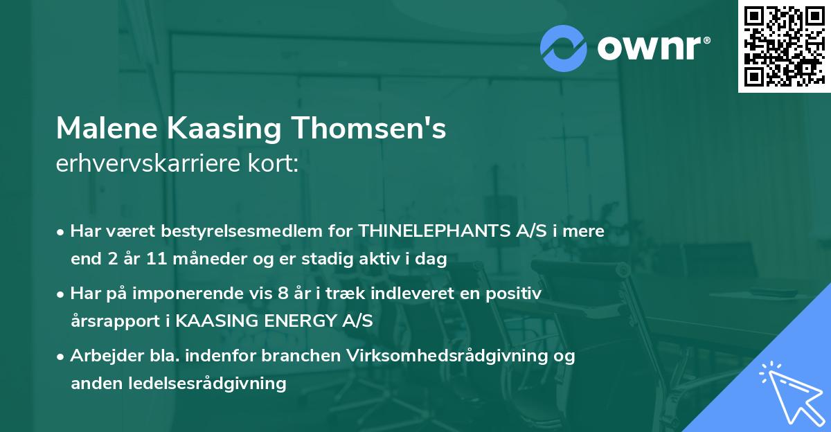 Malene Kaasing Thomsen's erhvervskarriere kort
