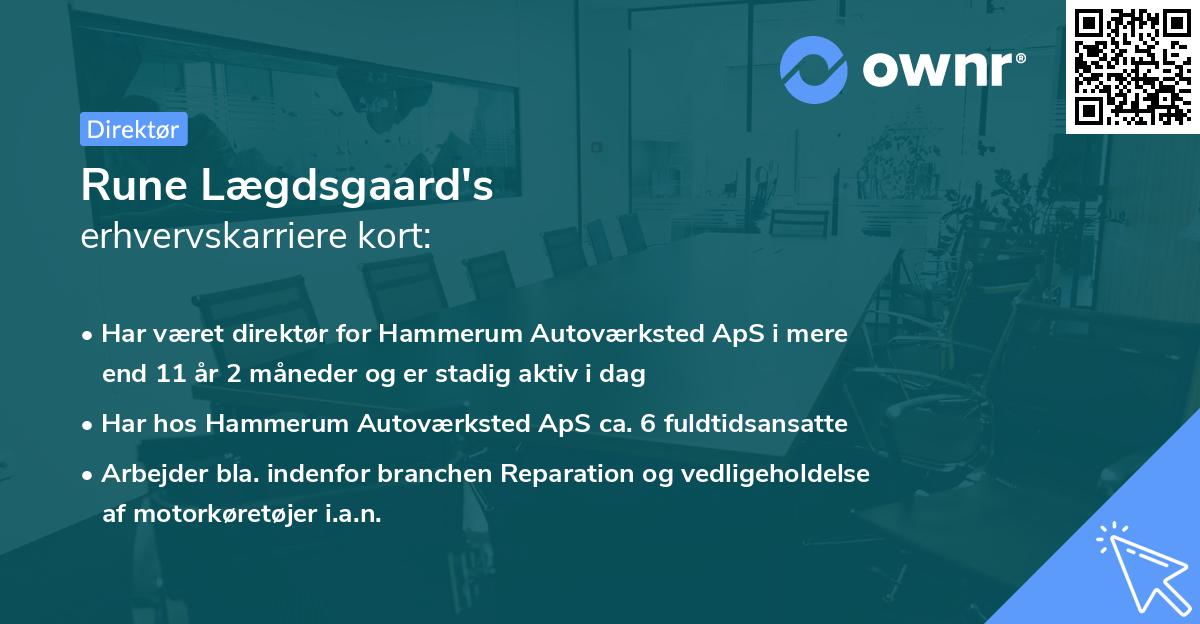 Rune Lægdsgaard's erhvervskarriere kort