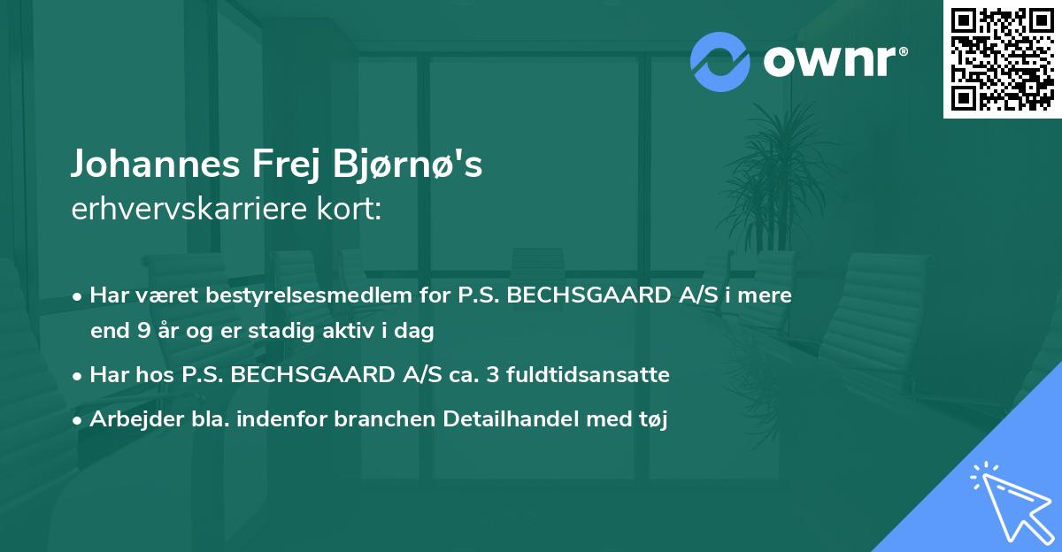 Johannes Frej Bjørnø's erhvervskarriere kort