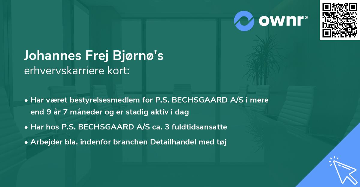 Johannes Frej Bjørnø's erhvervskarriere kort