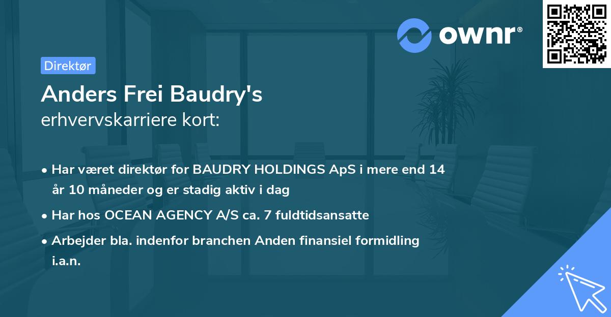 Anders Frei Baudry's erhvervskarriere kort