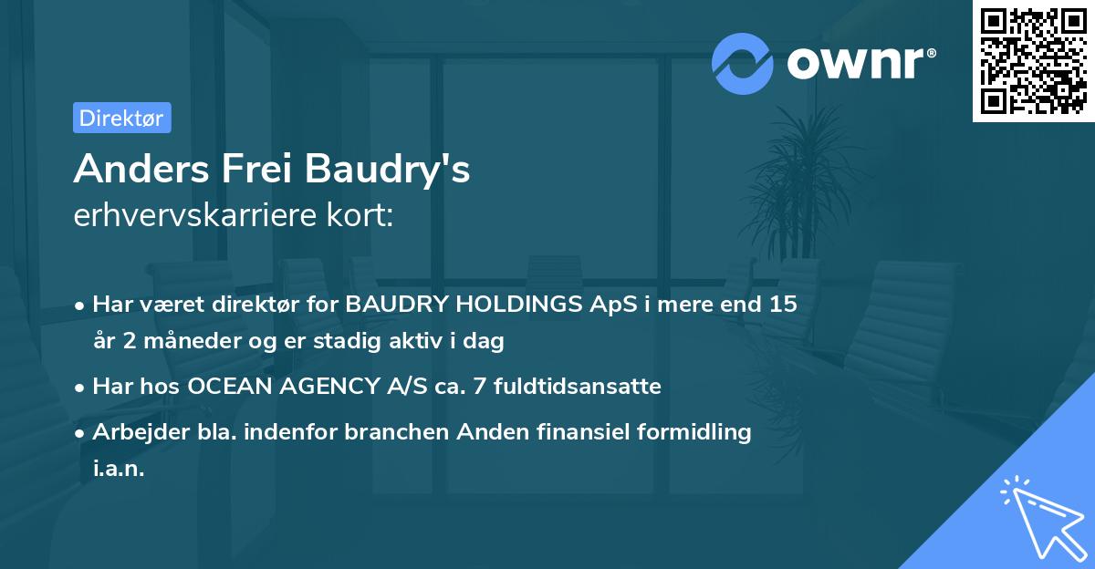Anders Frei Baudry's erhvervskarriere kort