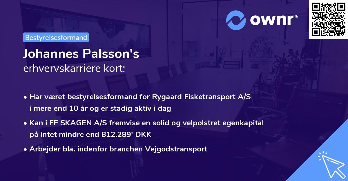 Johannes Palsson's erhvervskarriere kort