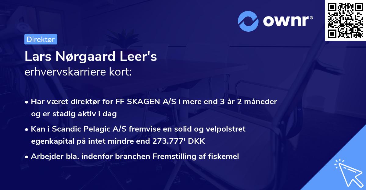 Lars Nørgaard Leer's erhvervskarriere kort
