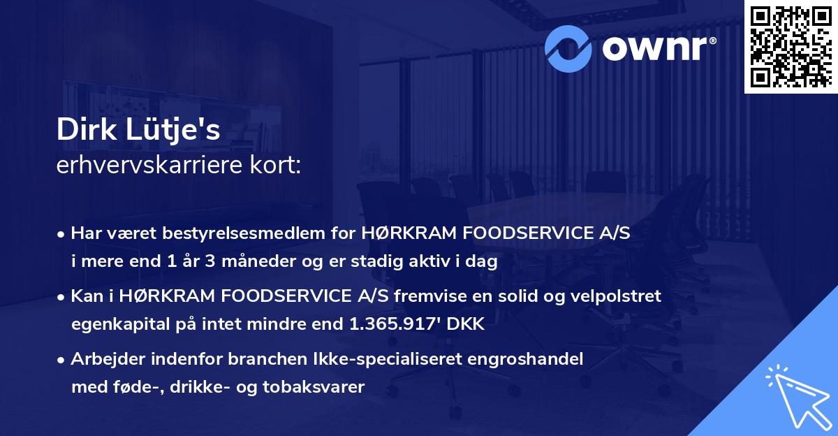 Dirk Lütje's erhvervskarriere kort