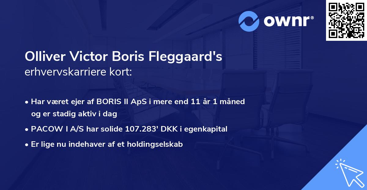 Olliver Victor Boris Fleggaard's erhvervskarriere kort