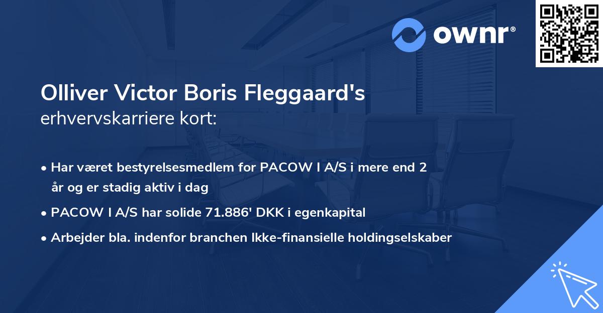 Olliver Victor Boris Fleggaard's erhvervskarriere kort