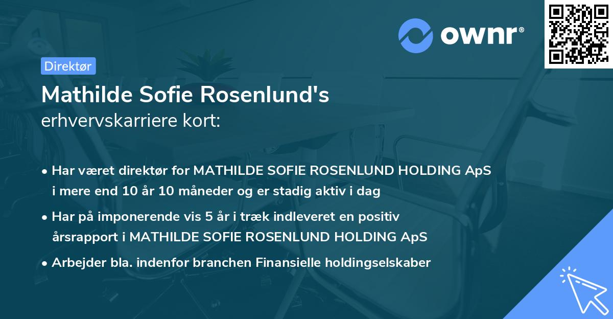 Mathilde Sofie Rosenlund's erhvervskarriere kort
