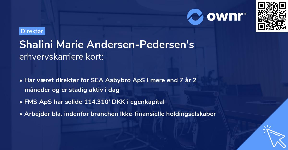Shalini Marie Andersen-Pedersen's erhvervskarriere kort