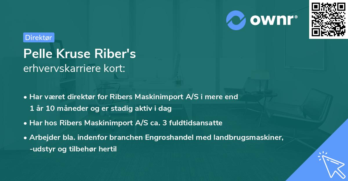 Pelle Kruse Riber's erhvervskarriere kort