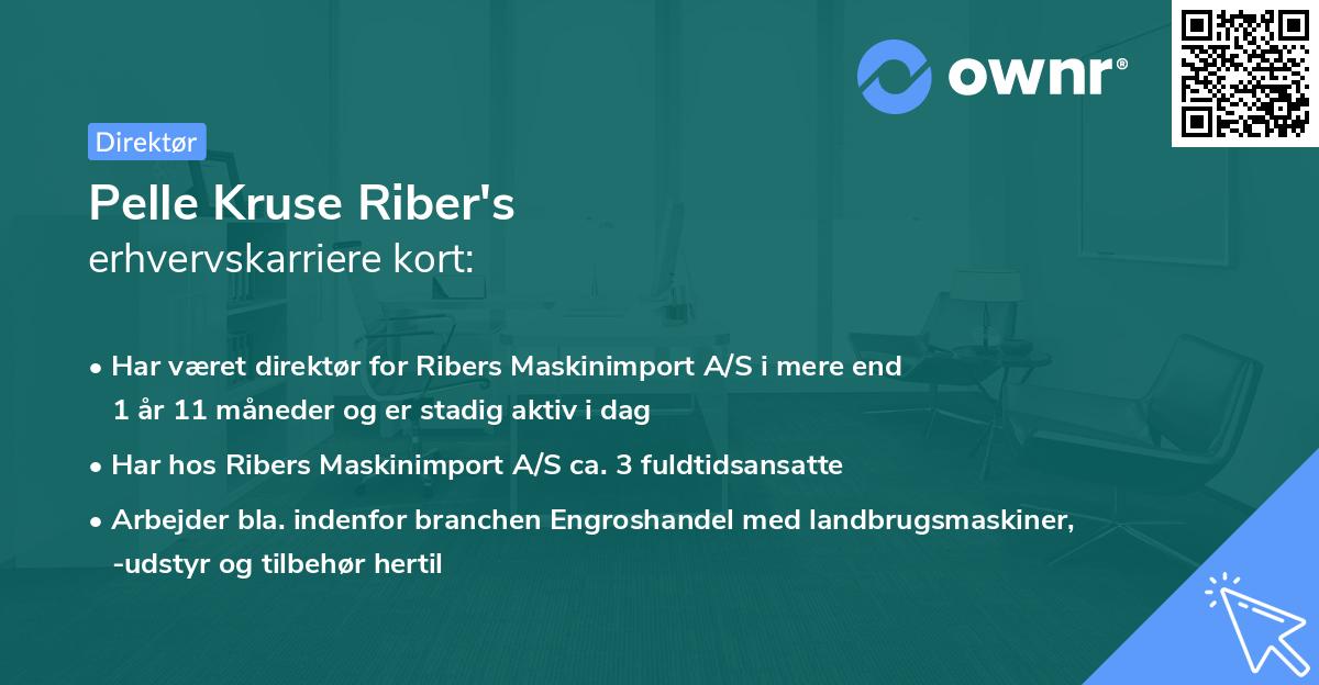 Pelle Kruse Riber's erhvervskarriere kort