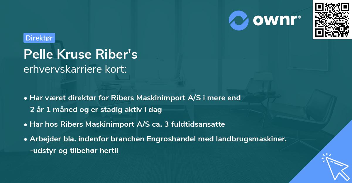 Pelle Kruse Riber's erhvervskarriere kort