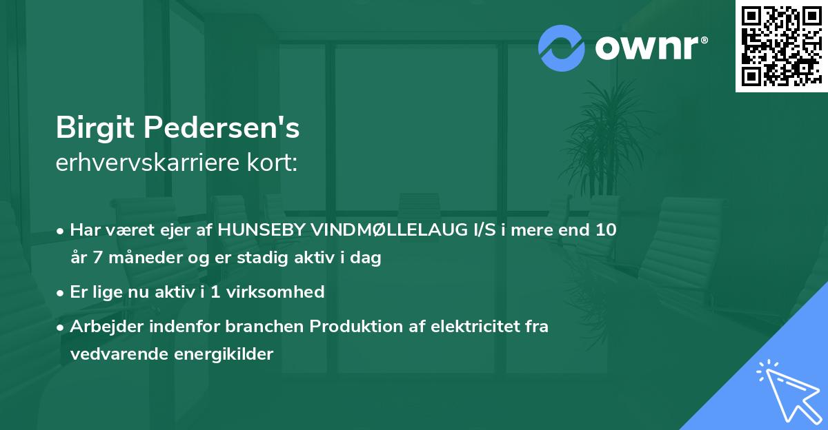 Birgit Pedersen's erhvervskarriere kort