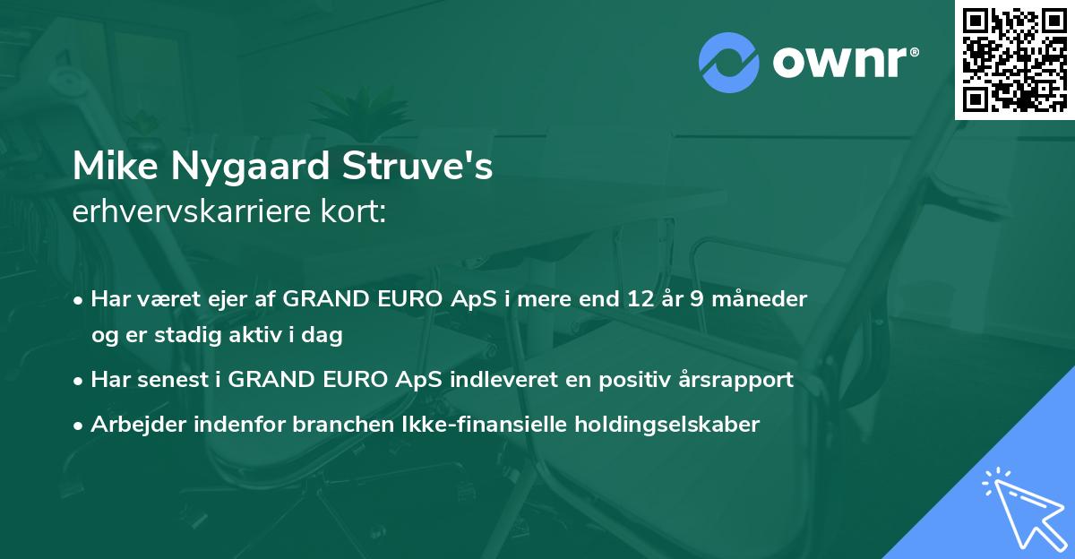 Mike Nygaard Struve's erhvervskarriere kort