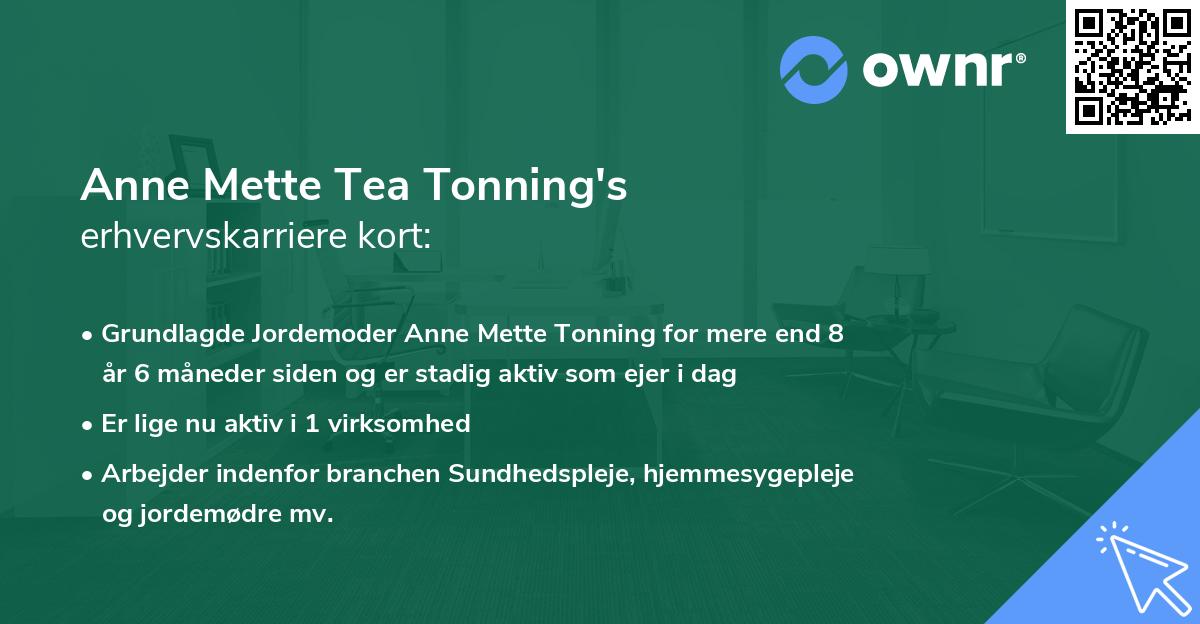 Anne Mette Tea Tonning's erhvervskarriere kort
