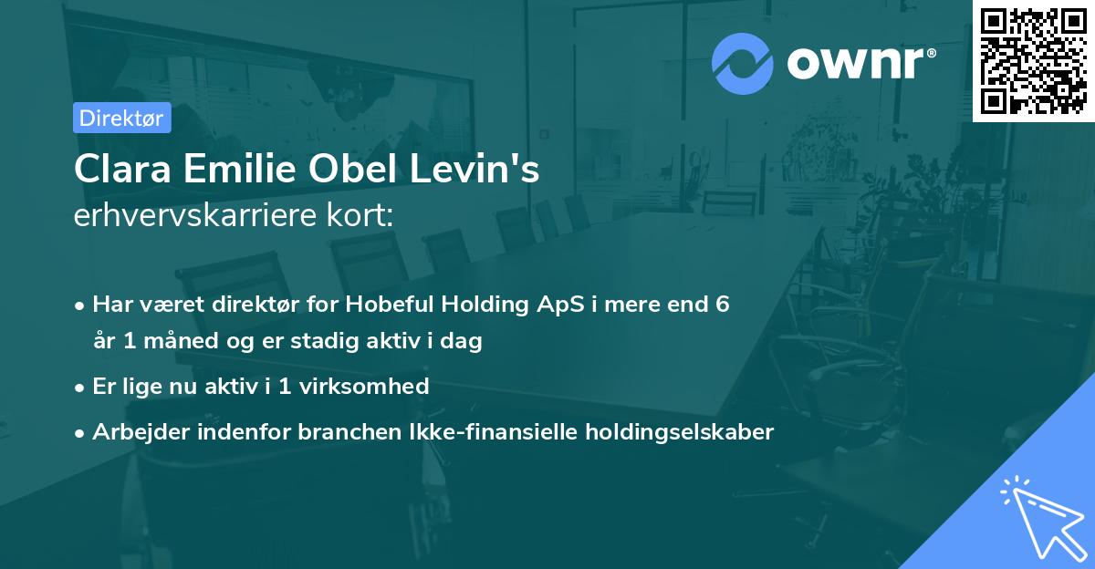 Clara Emilie Obel Levin's erhvervskarriere kort