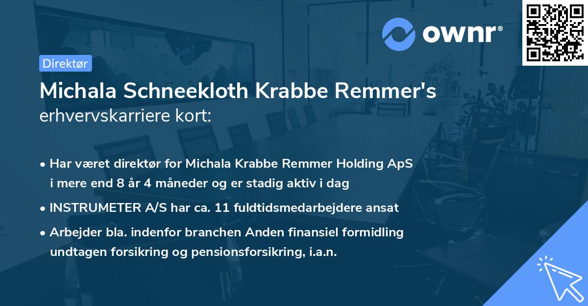 Michala Schneekloth Krabbe Remmer's erhvervskarriere kort