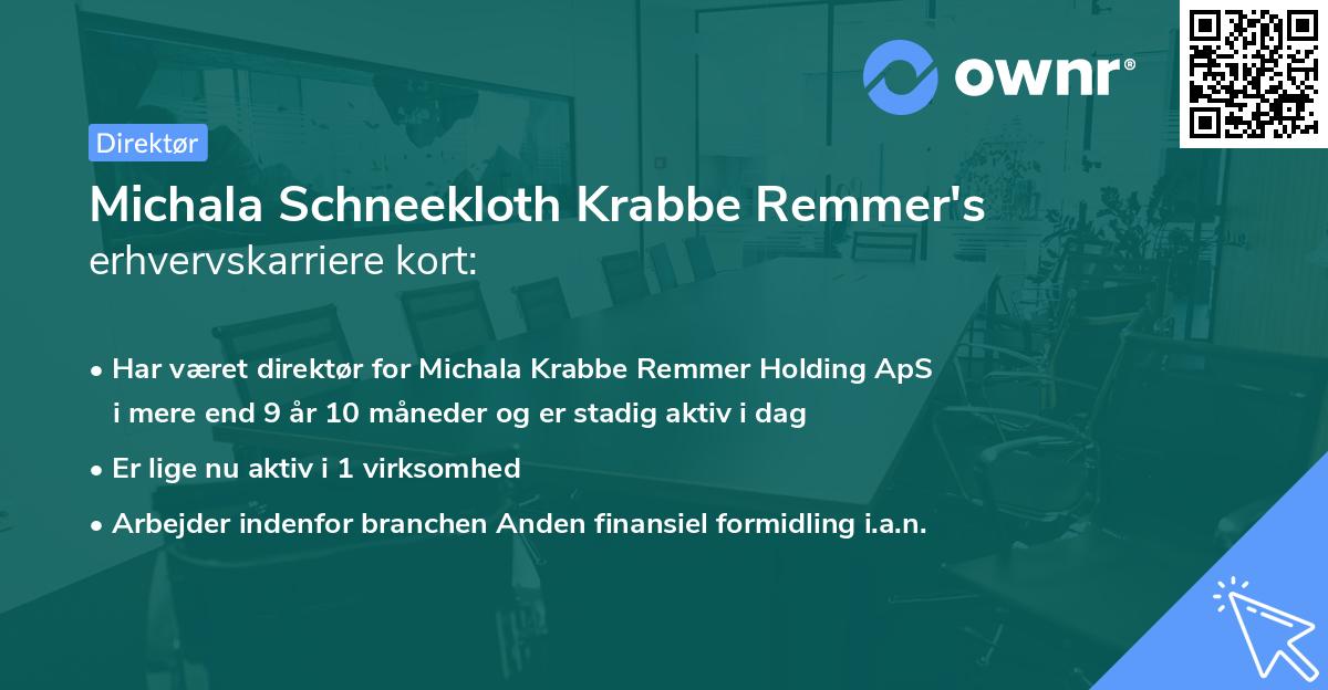 Michala Schneekloth Krabbe Remmer's erhvervskarriere kort