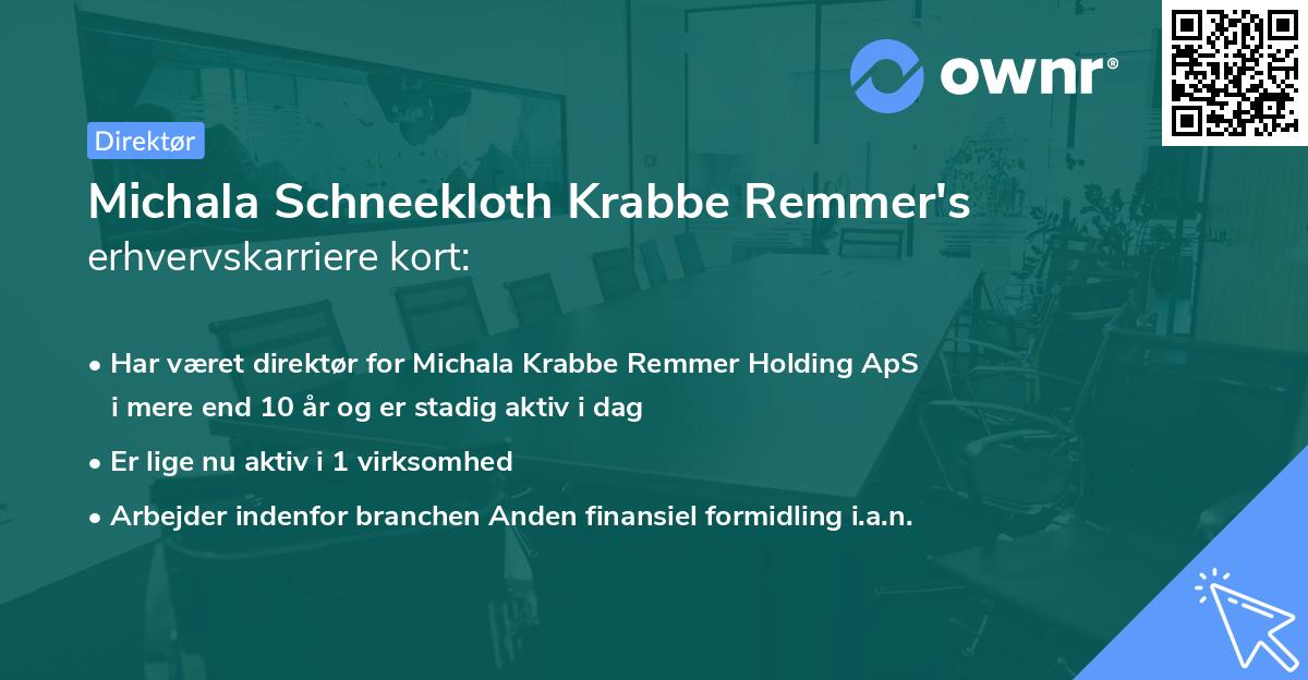 Michala Schneekloth Krabbe Remmer's erhvervskarriere kort