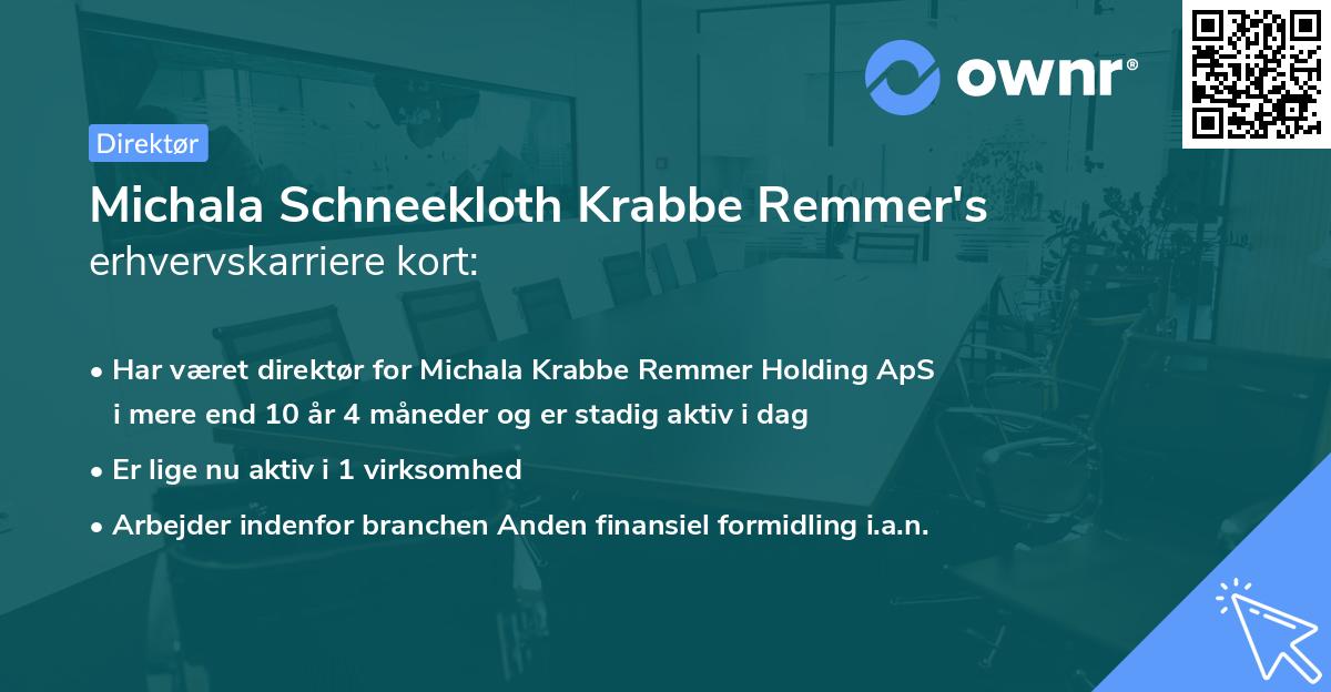 Michala Schneekloth Krabbe Remmer's erhvervskarriere kort