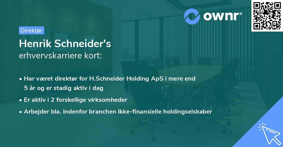 Henrik Schneider's erhvervskarriere kort