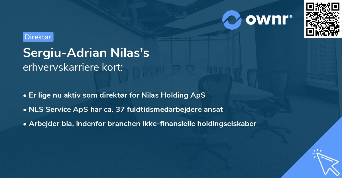 Sergiu-Adrian Nilas's erhvervskarriere kort