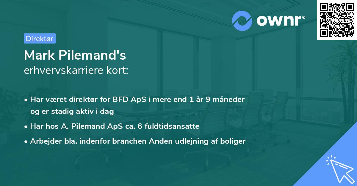 Mark Pilemand's erhvervskarriere kort