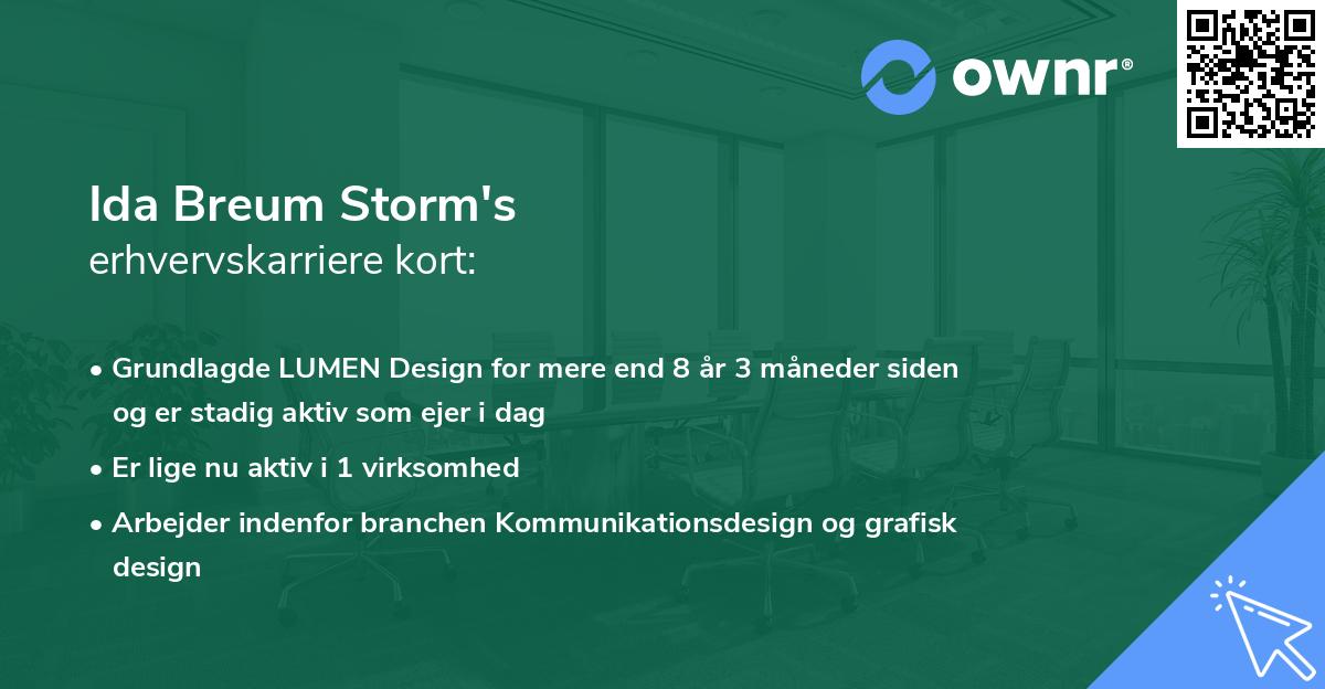 Ida Breum Storm's erhvervskarriere kort