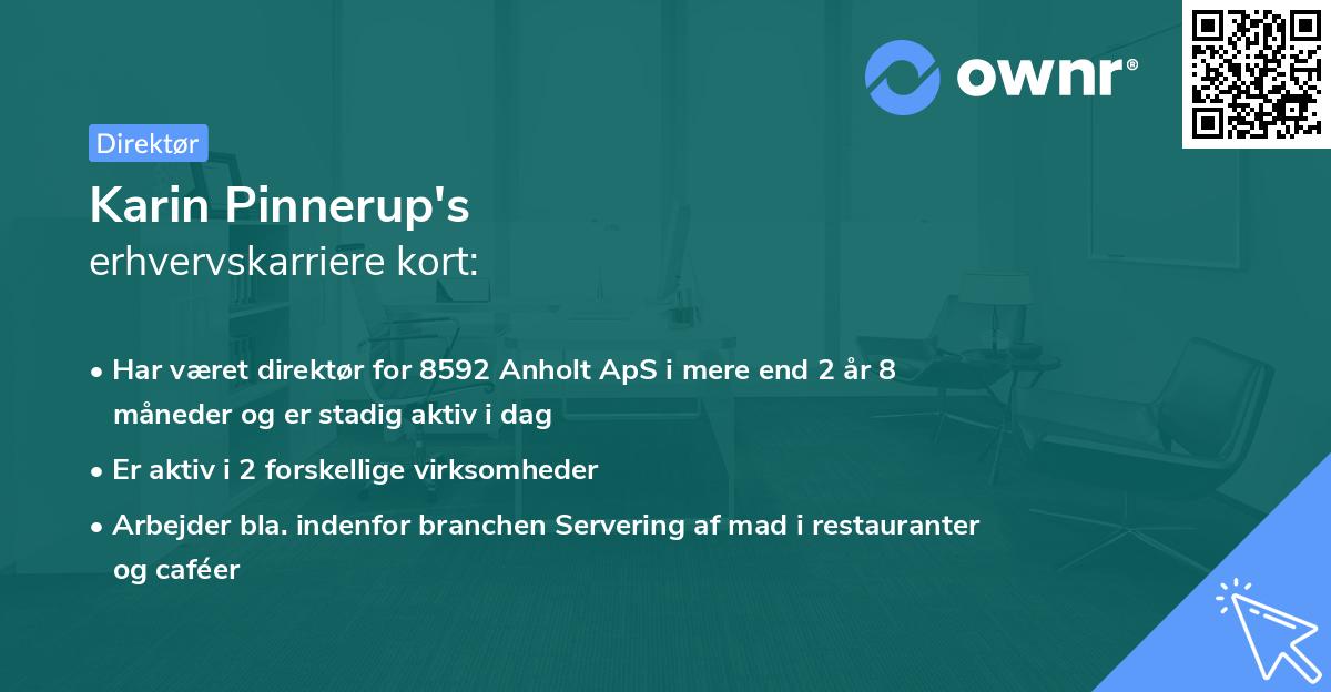 Karin Pinnerup's erhvervskarriere kort