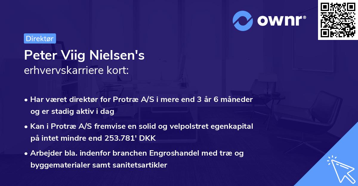 Peter Viig Nielsen's erhvervskarriere kort