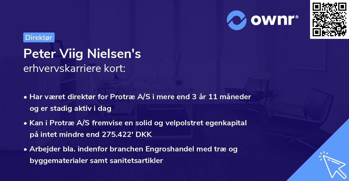 Peter Viig Nielsen's erhvervskarriere kort