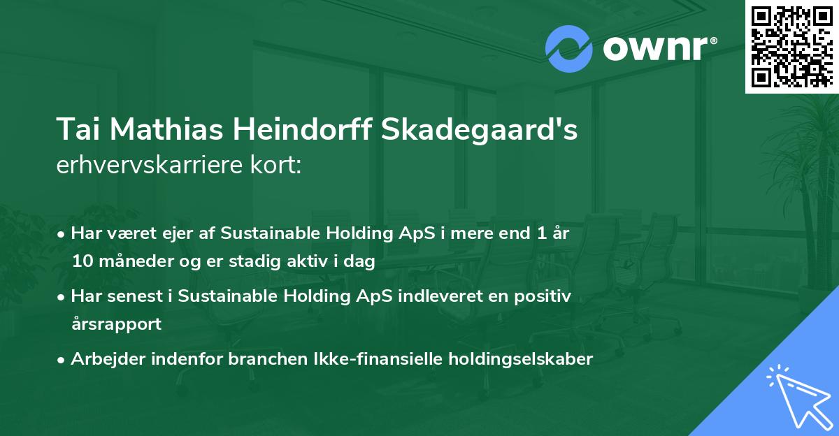 Tai Mathias Heindorff Skadegaard's erhvervskarriere kort