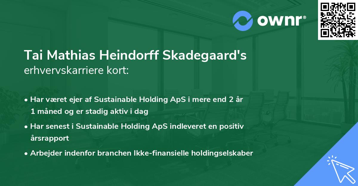 Tai Mathias Heindorff Skadegaard's erhvervskarriere kort