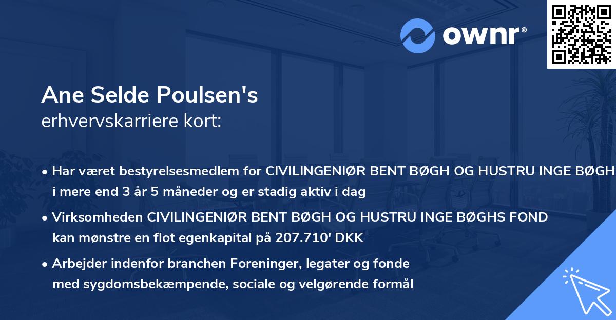 Ane Selde Poulsen's erhvervskarriere kort