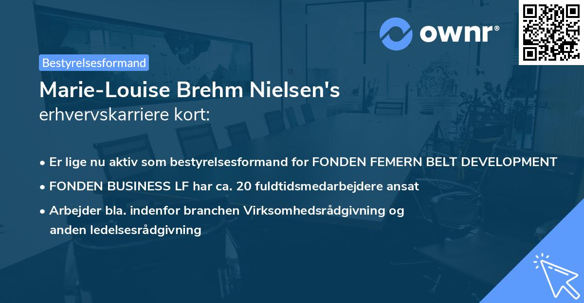 Marie-Louise Brehm Nielsen's erhvervskarriere kort